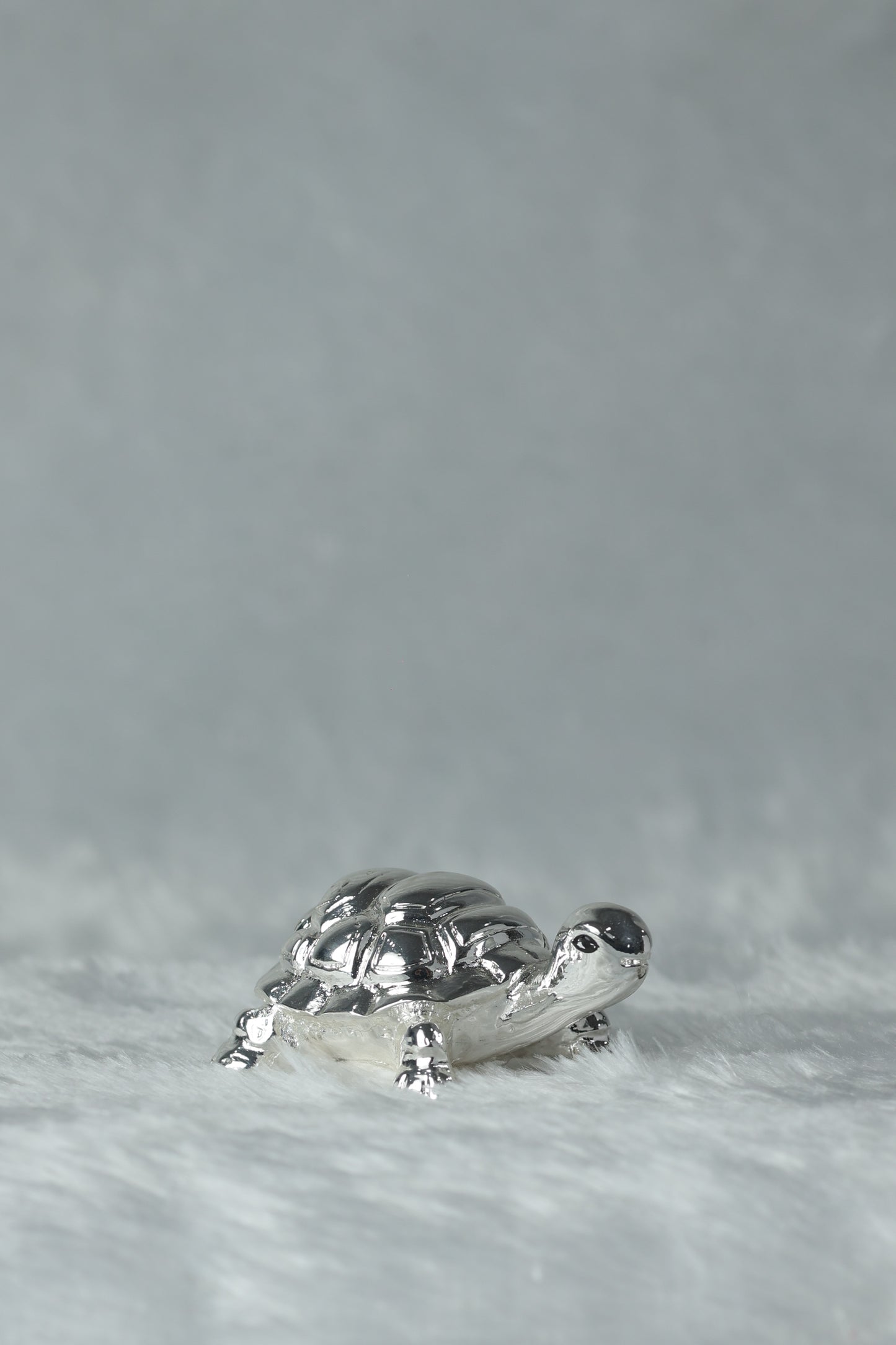 Silver Plated Tortoise